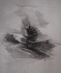 charcoal sketch